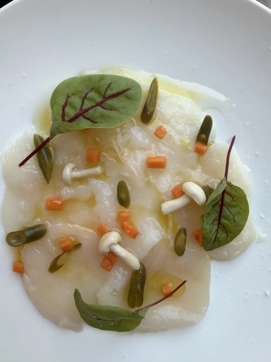 Scallop crudo with delicate garnishes